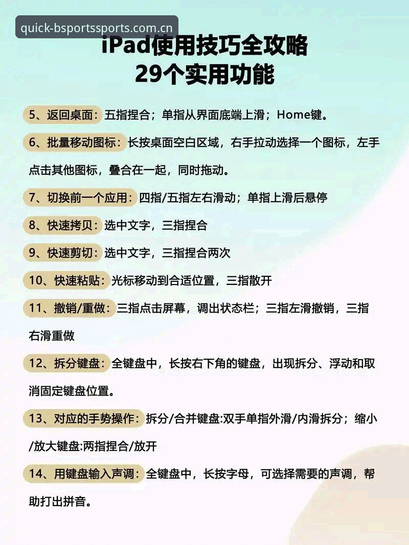 Bsports竞技平台实用指南：从下载到投注的必备知识